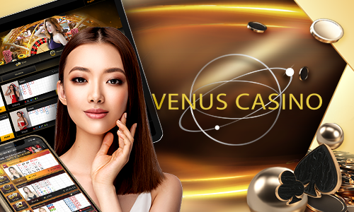 win2023 77bet cassino Terminal móvel