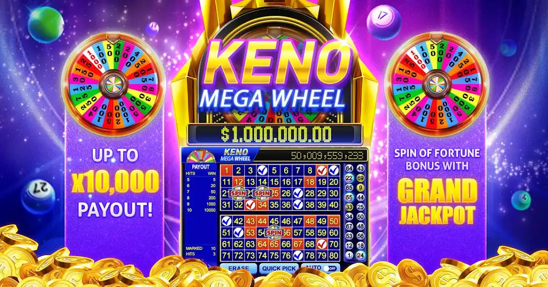 win2023 betf cassino on-line